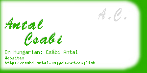 antal csabi business card